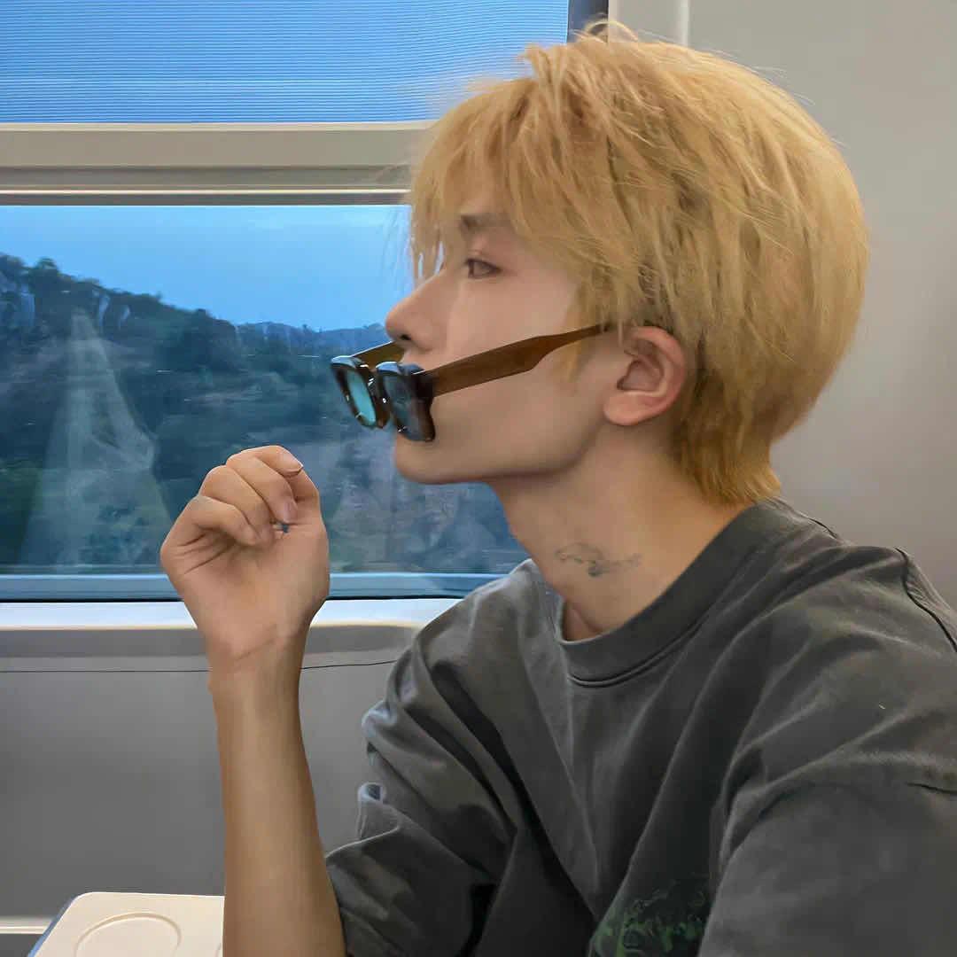 不如放我归山海