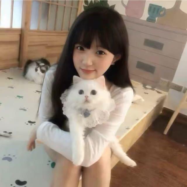 懒羊羊.