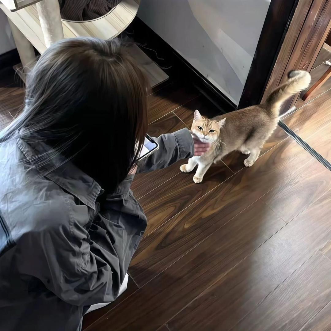 炸洋芋女士