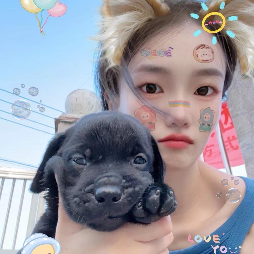 不养闲狗🐕‍🦺