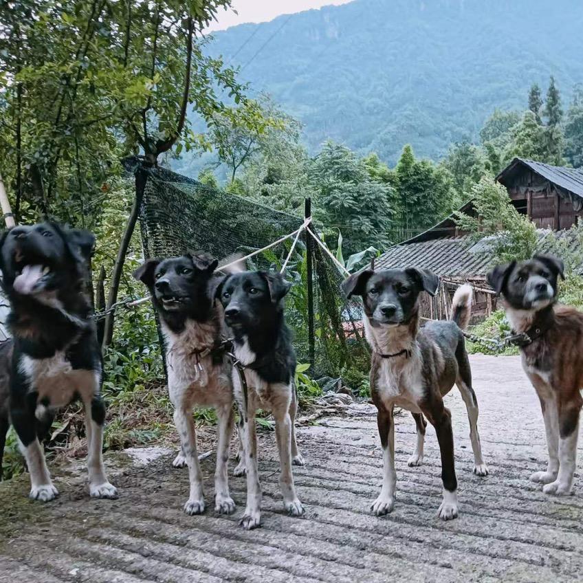 实战凉山(小小号