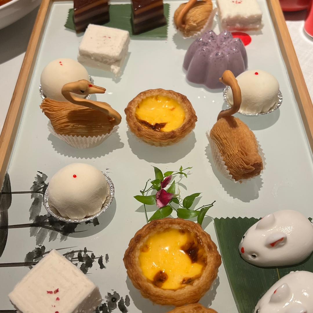 花花绿绿新世界