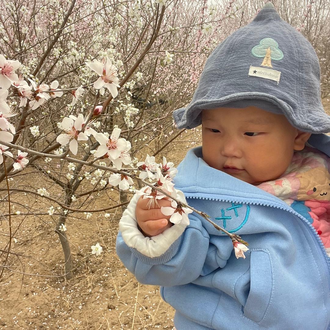 洛洛（互关互助）