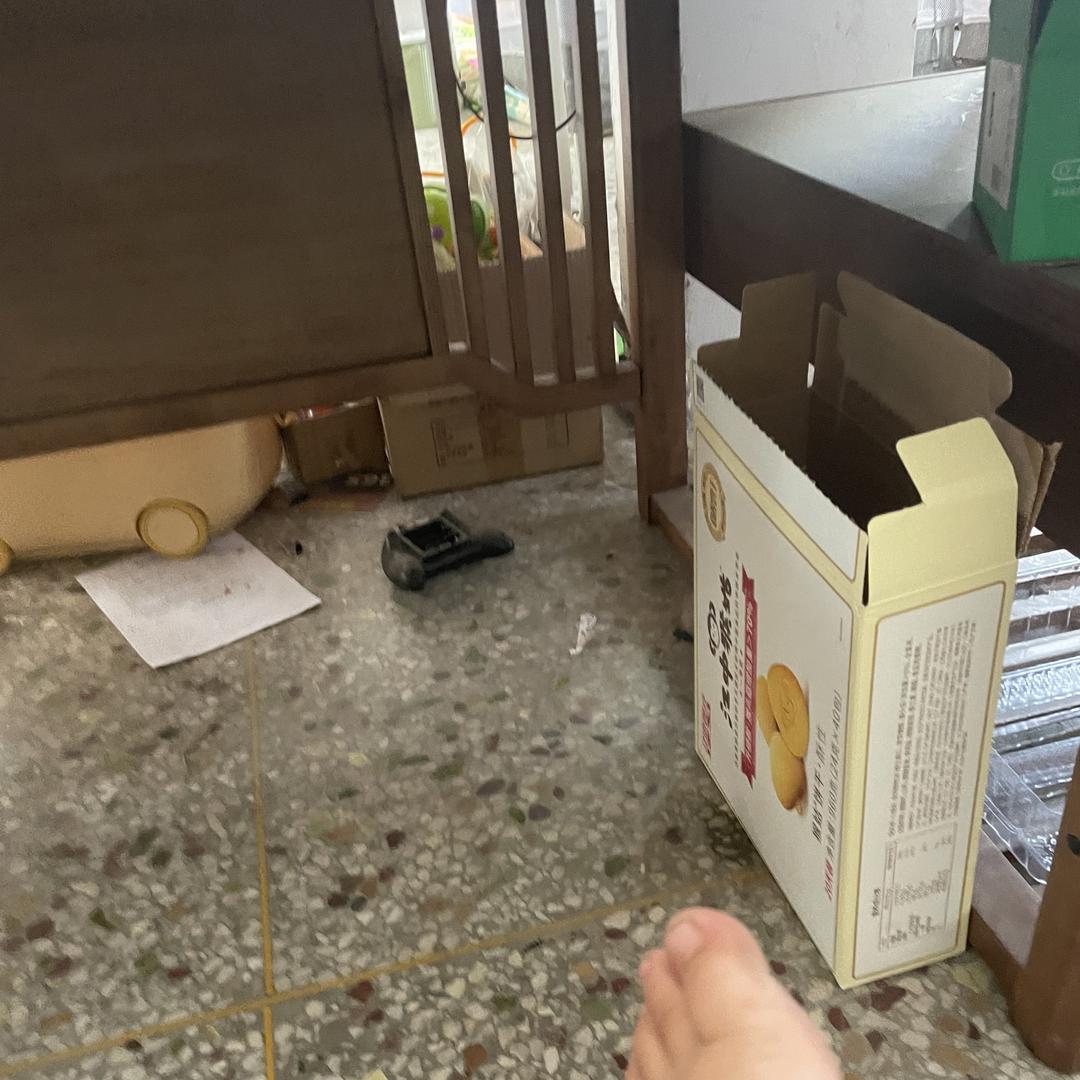 苍照模型专营店优选