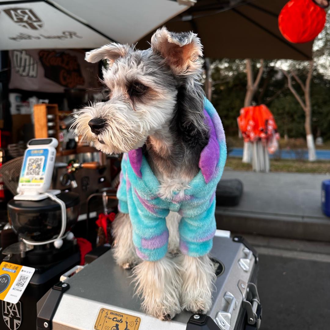 包鼓鼓（互关版）