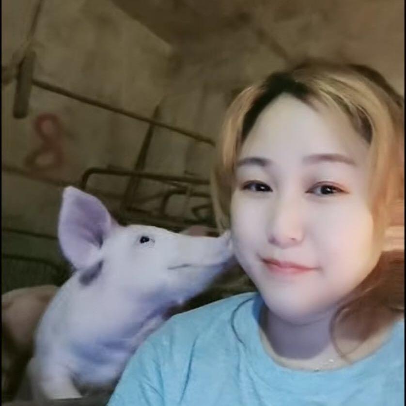 美好🐷