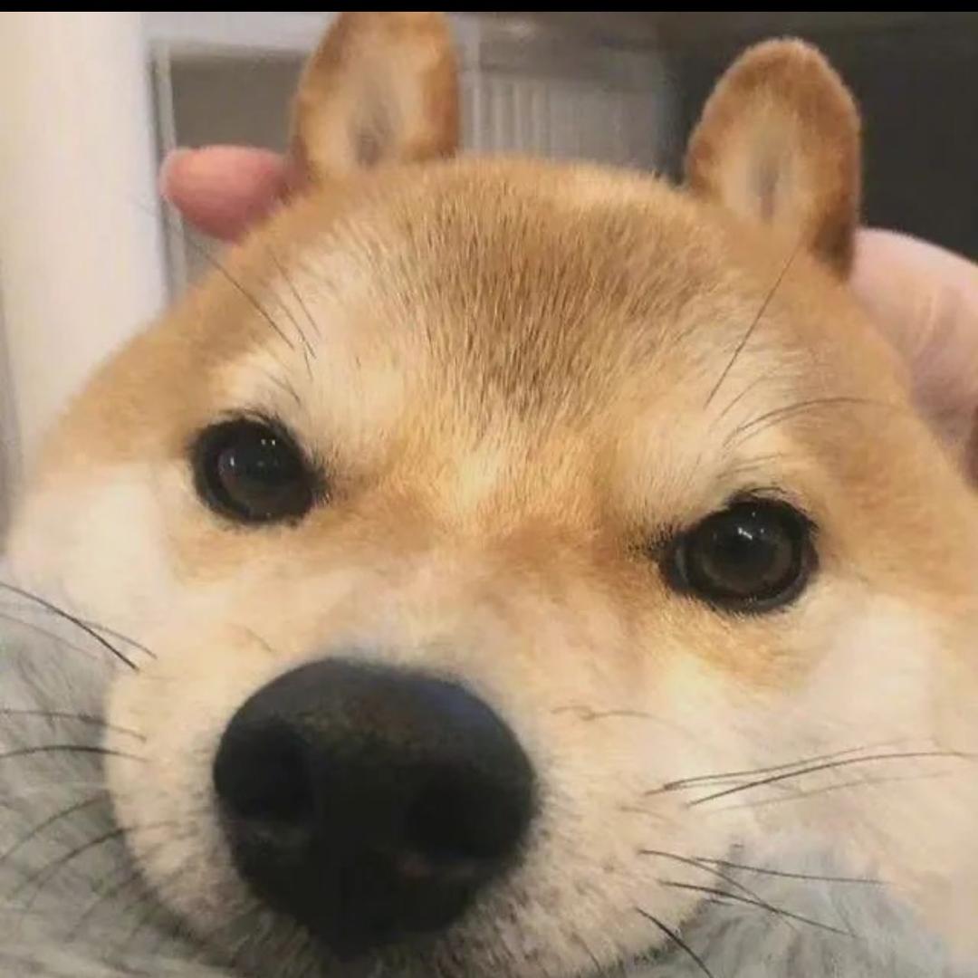 小张🔥
