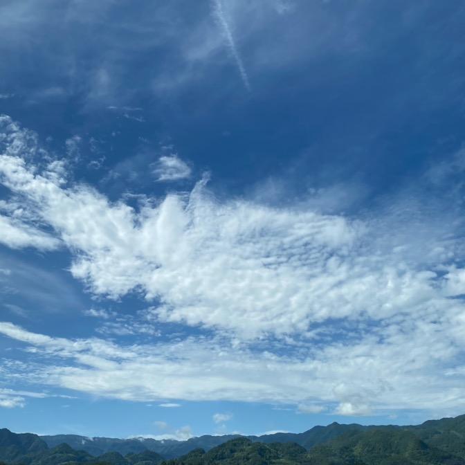 和和