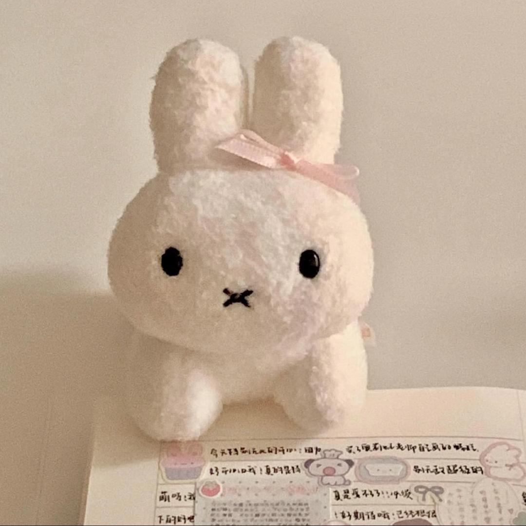 ･ᴗ･