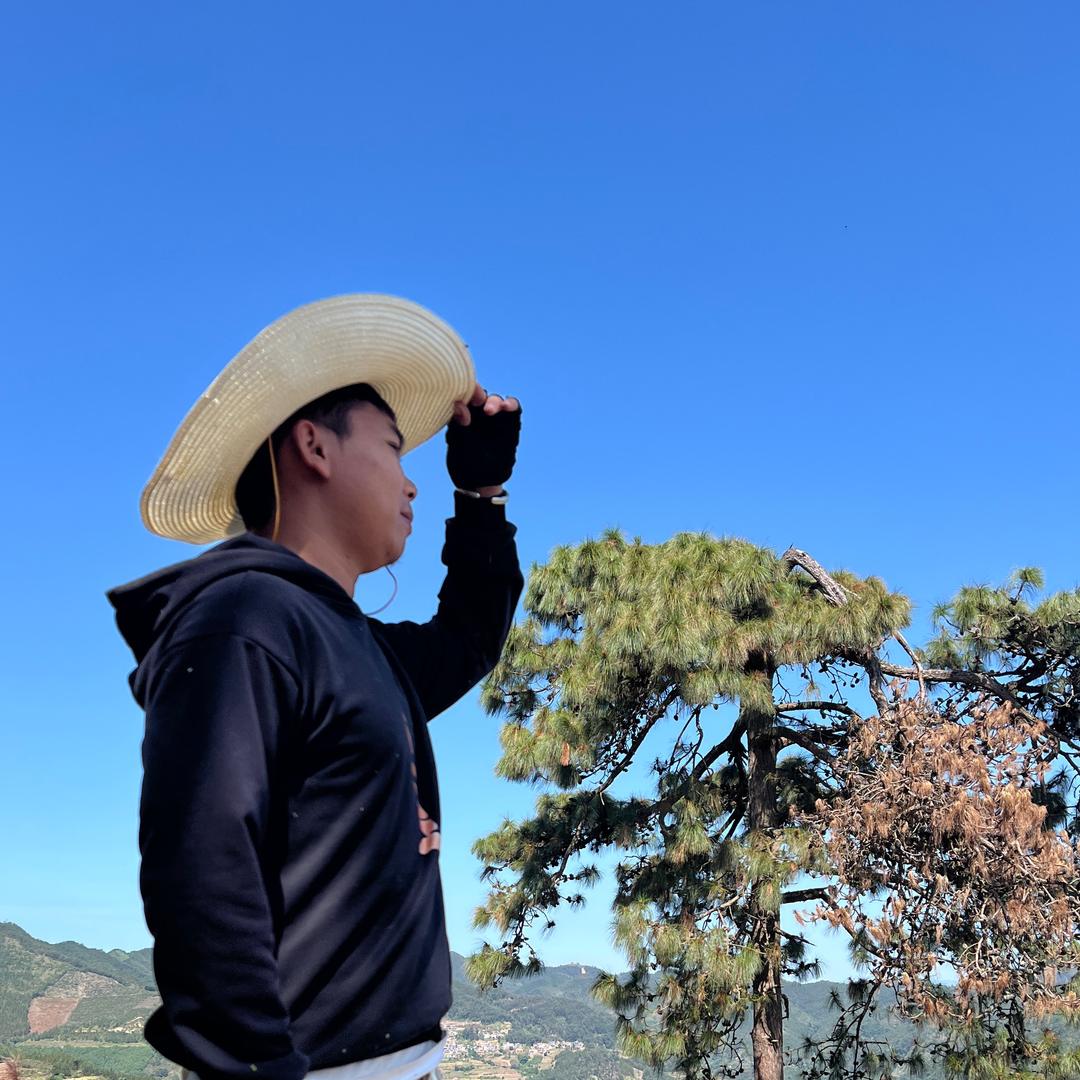 有点小忙