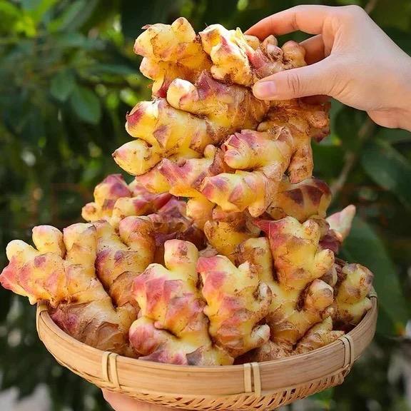 云南田间地头农产品