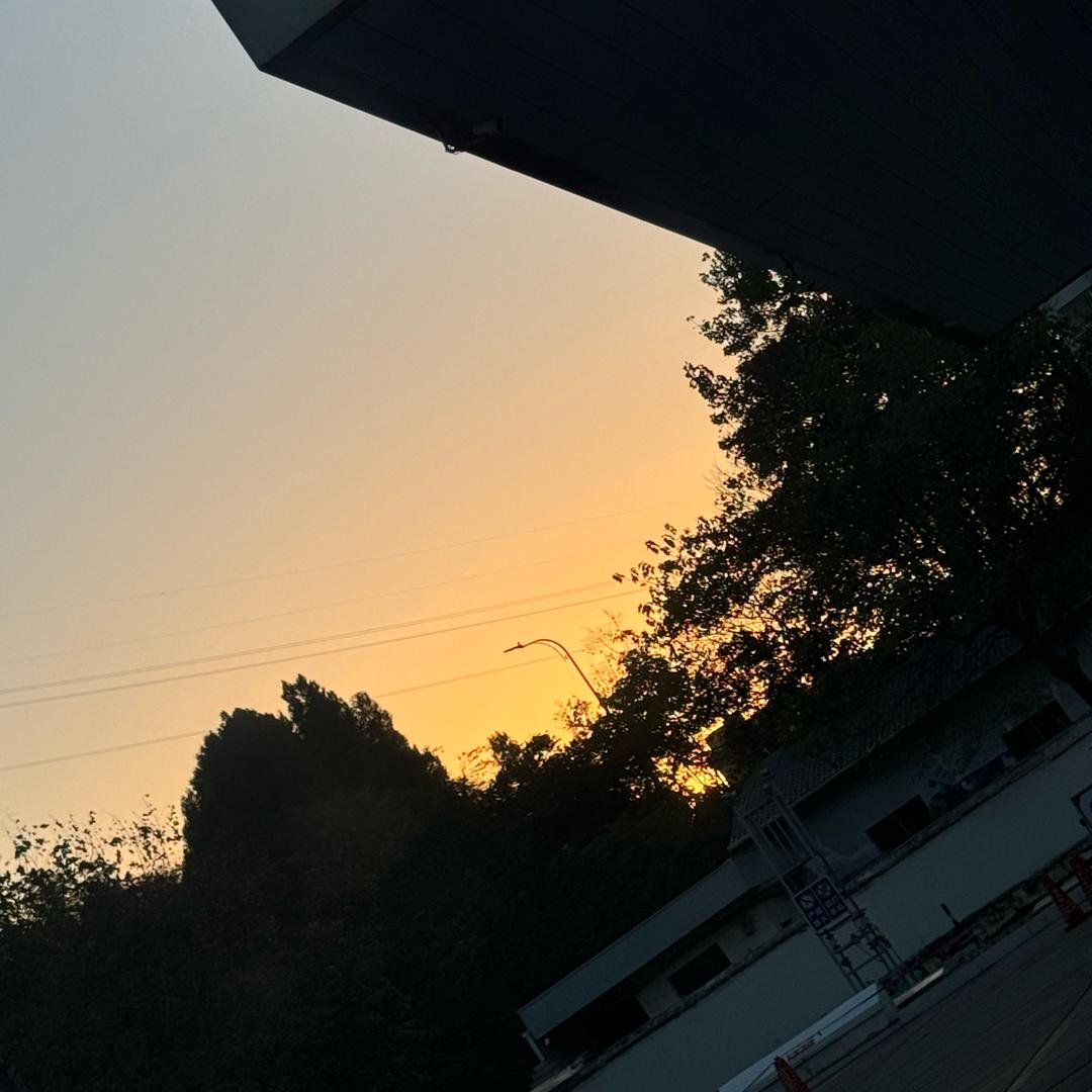 贩卖人间的太阳
