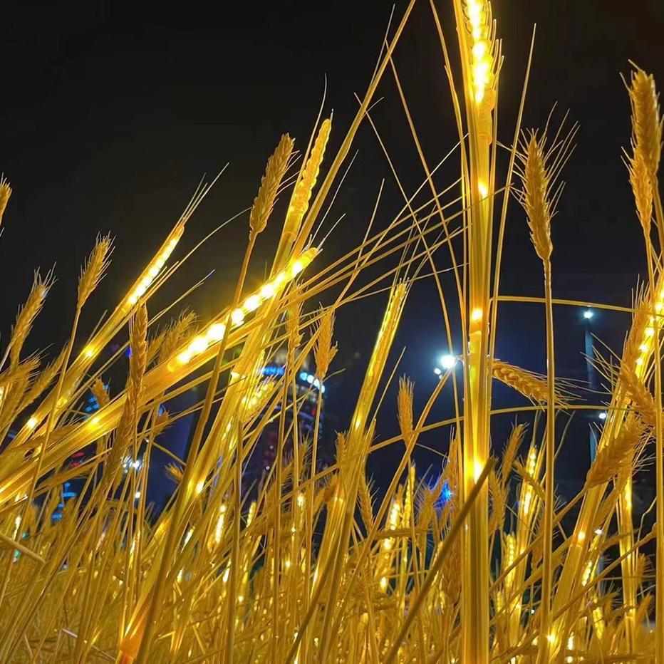 梦想起航୧ʕ•̀ᴥ•́ʔ୨