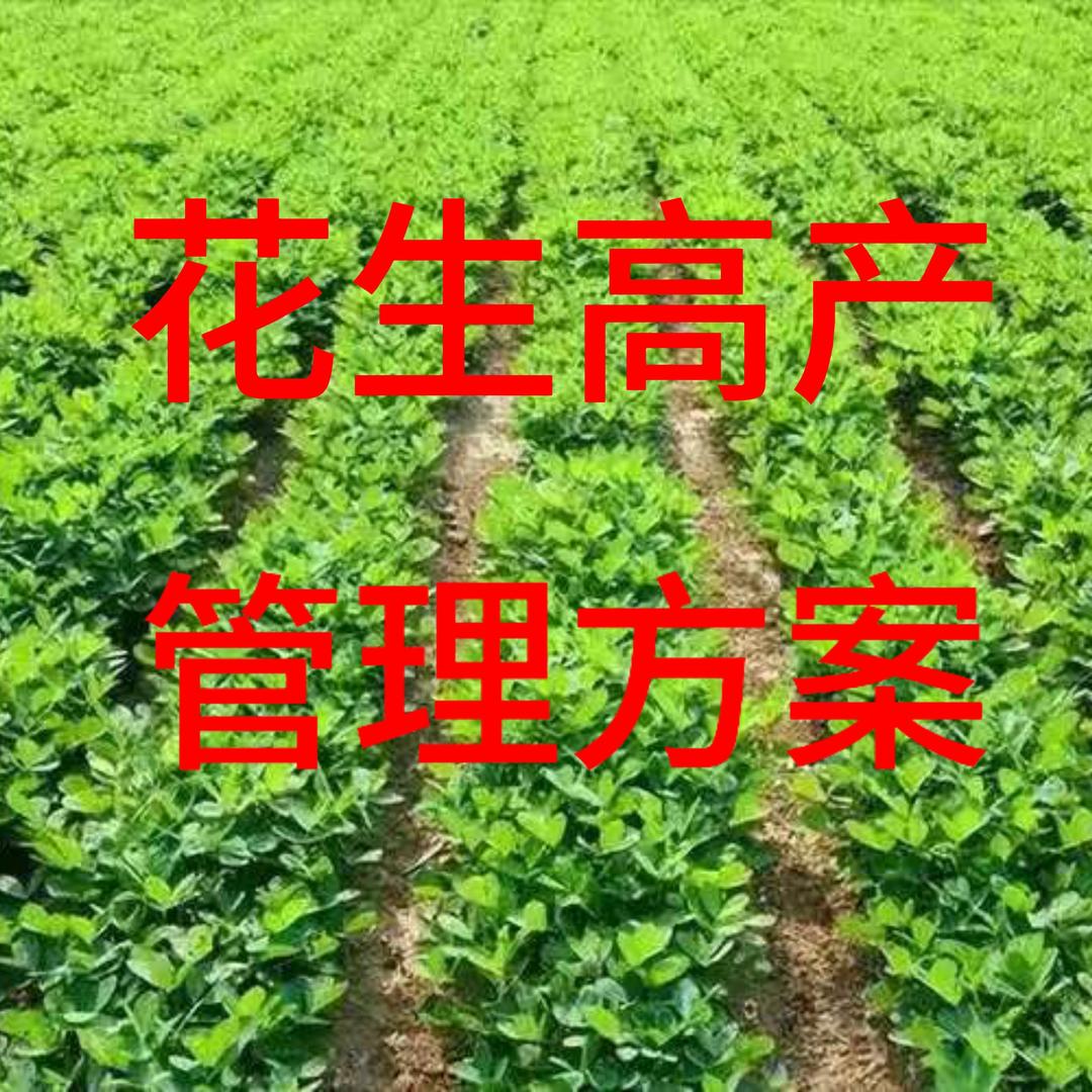 振哥农业
