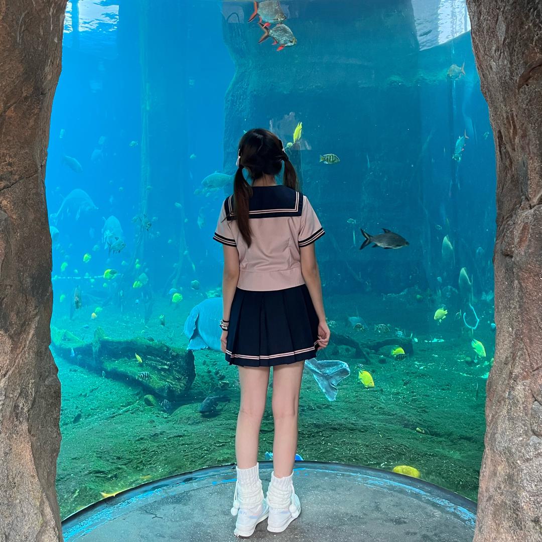 东莞海立方-水饺