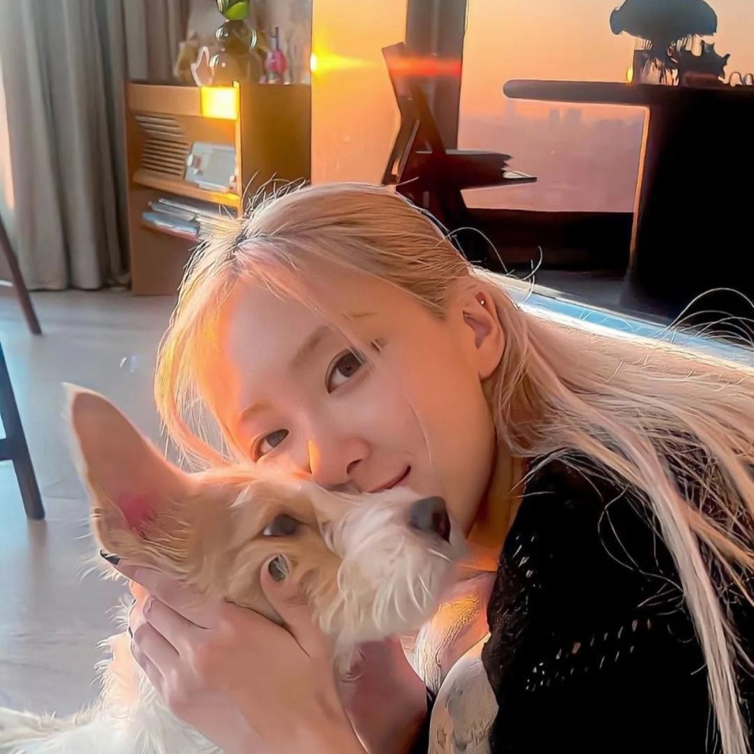.泡泡🌞