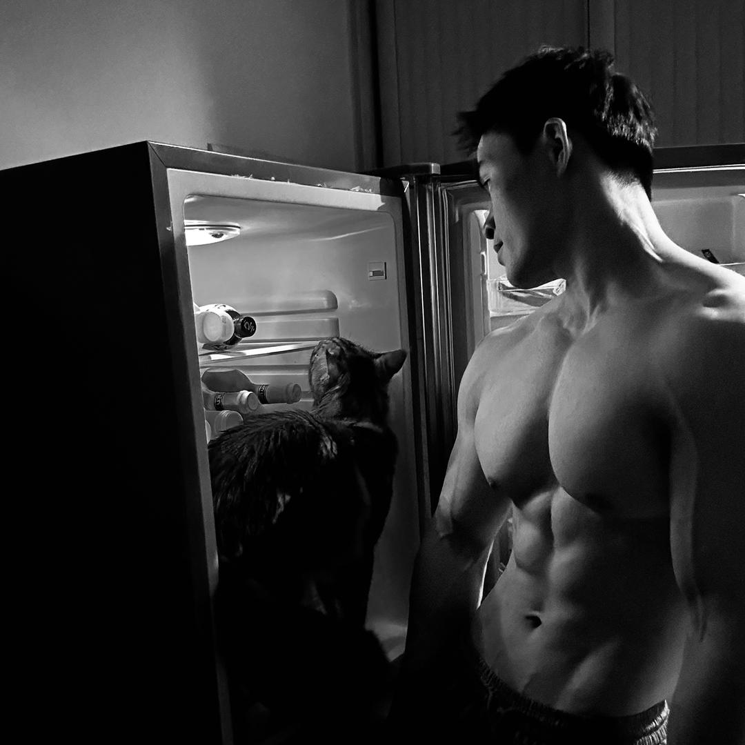 🏋️+🐈+🧑‍🍳=?