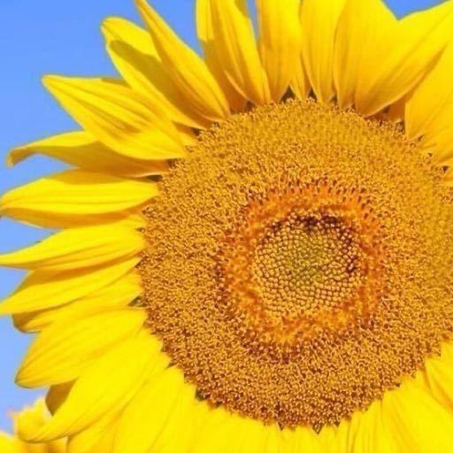 长治吾悦申笑笑-