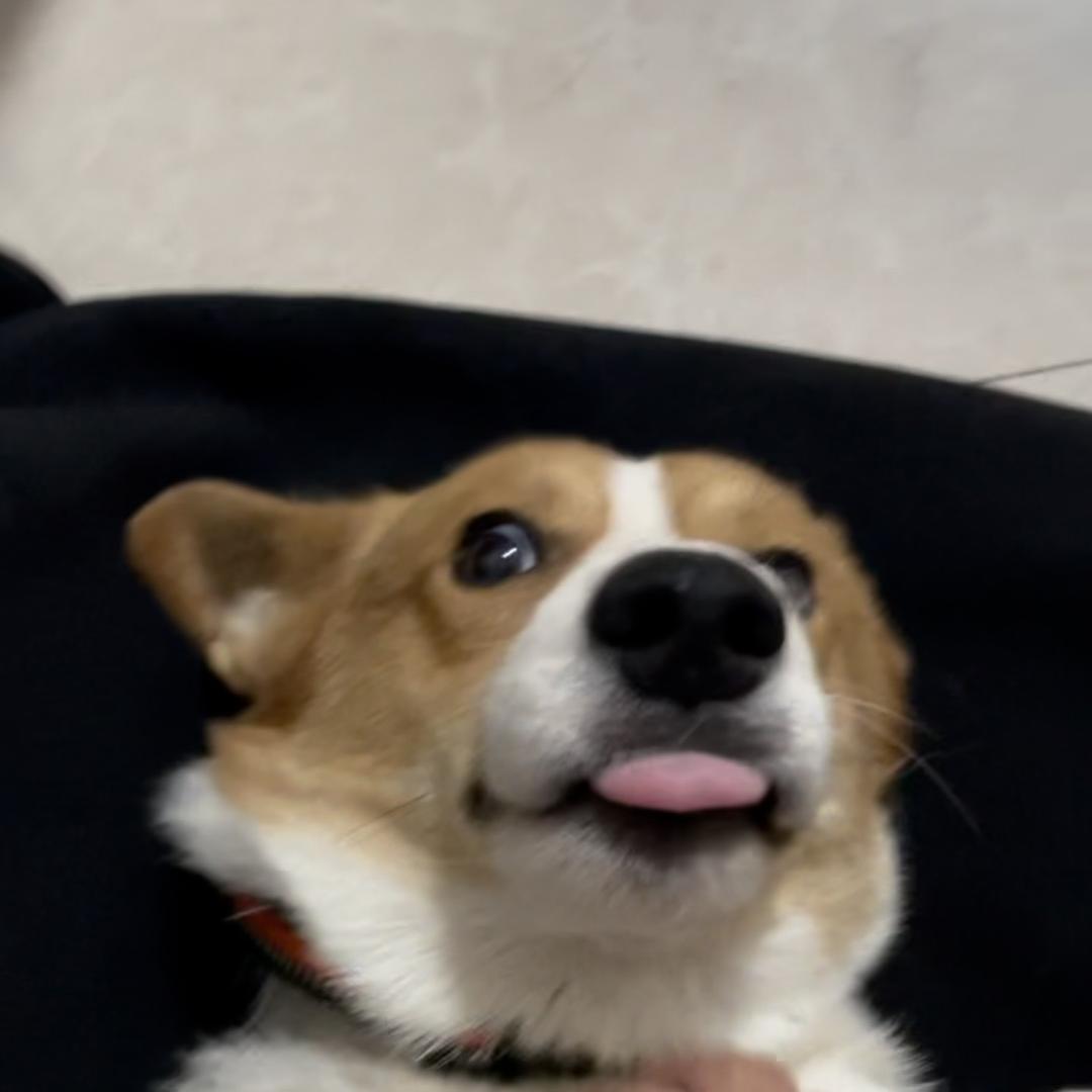 今天成为富婆了-