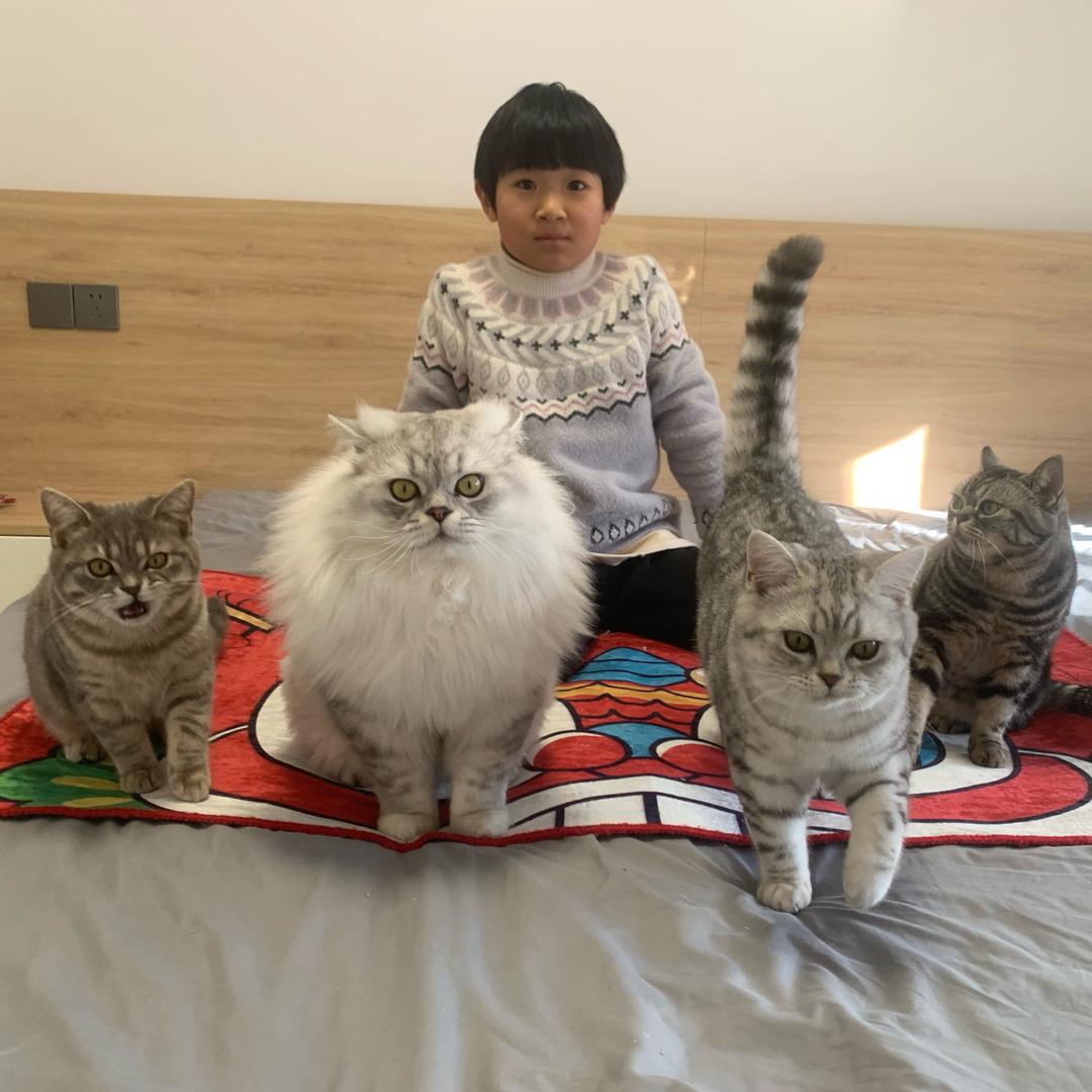 张小晨的猫德一中