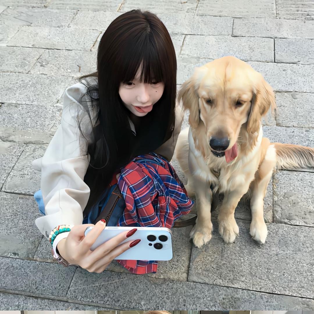 失眠羊羔子