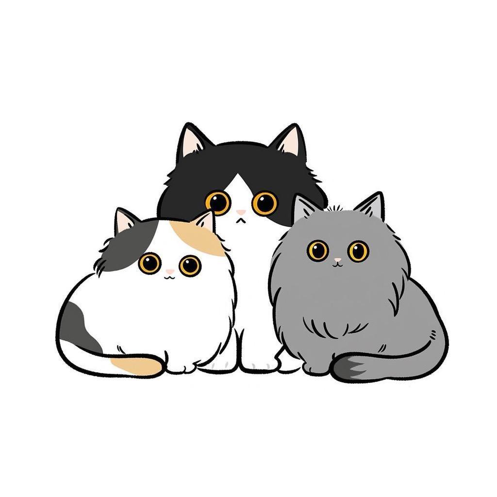 小小猫猫店