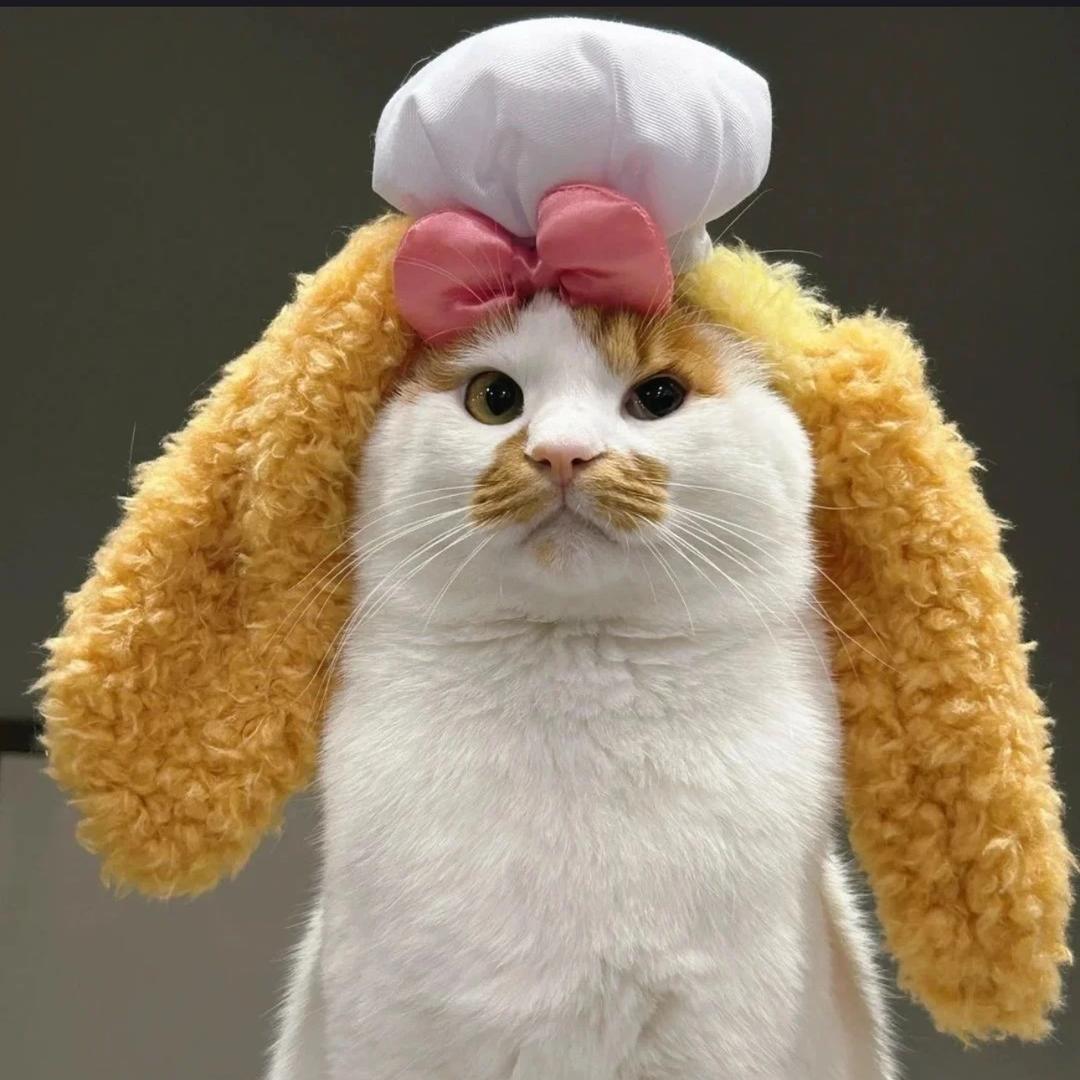 YUE JUN（快乐小狗🥔）