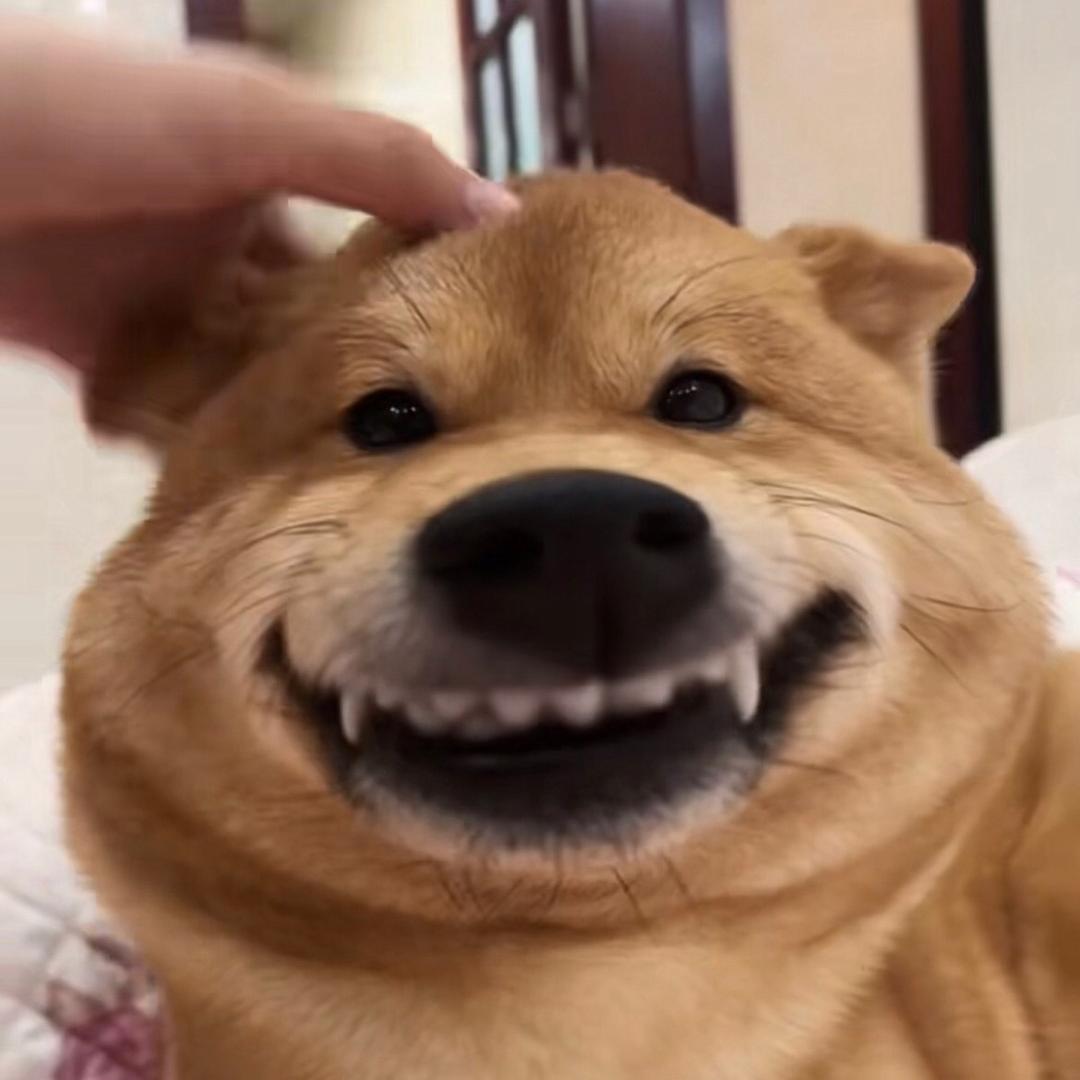 🌈中五百万🌈