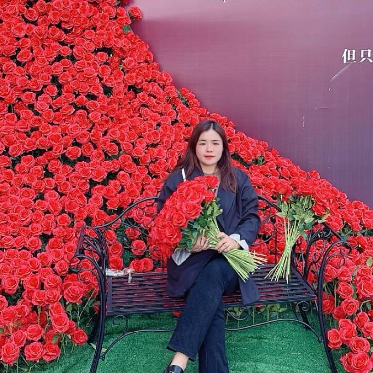 廊坊优顿—阿顿思可智能窗 秋月