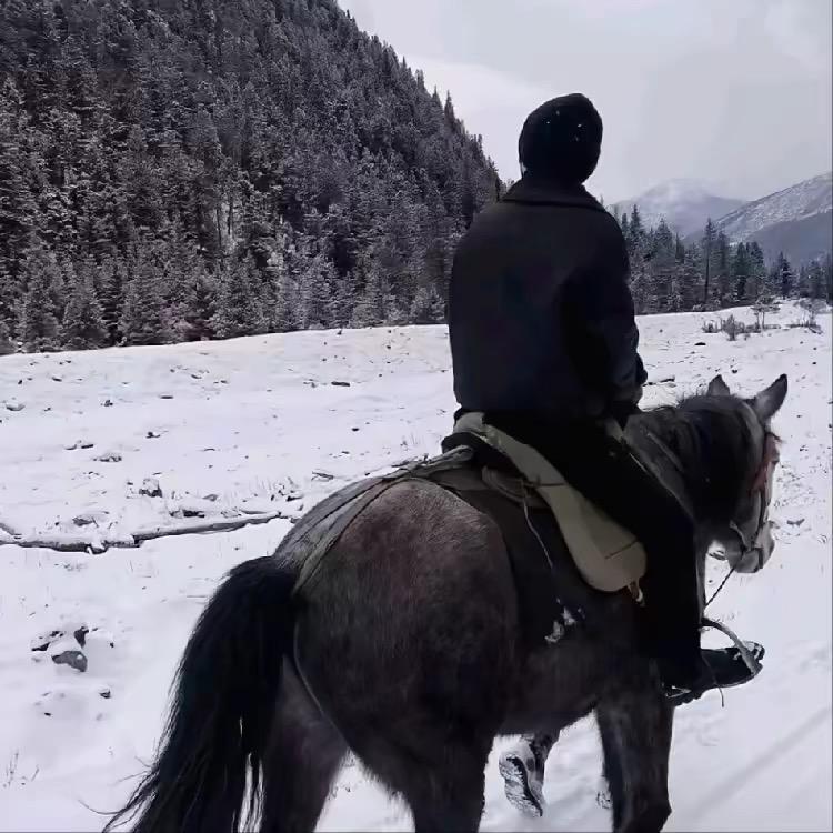 许个愿