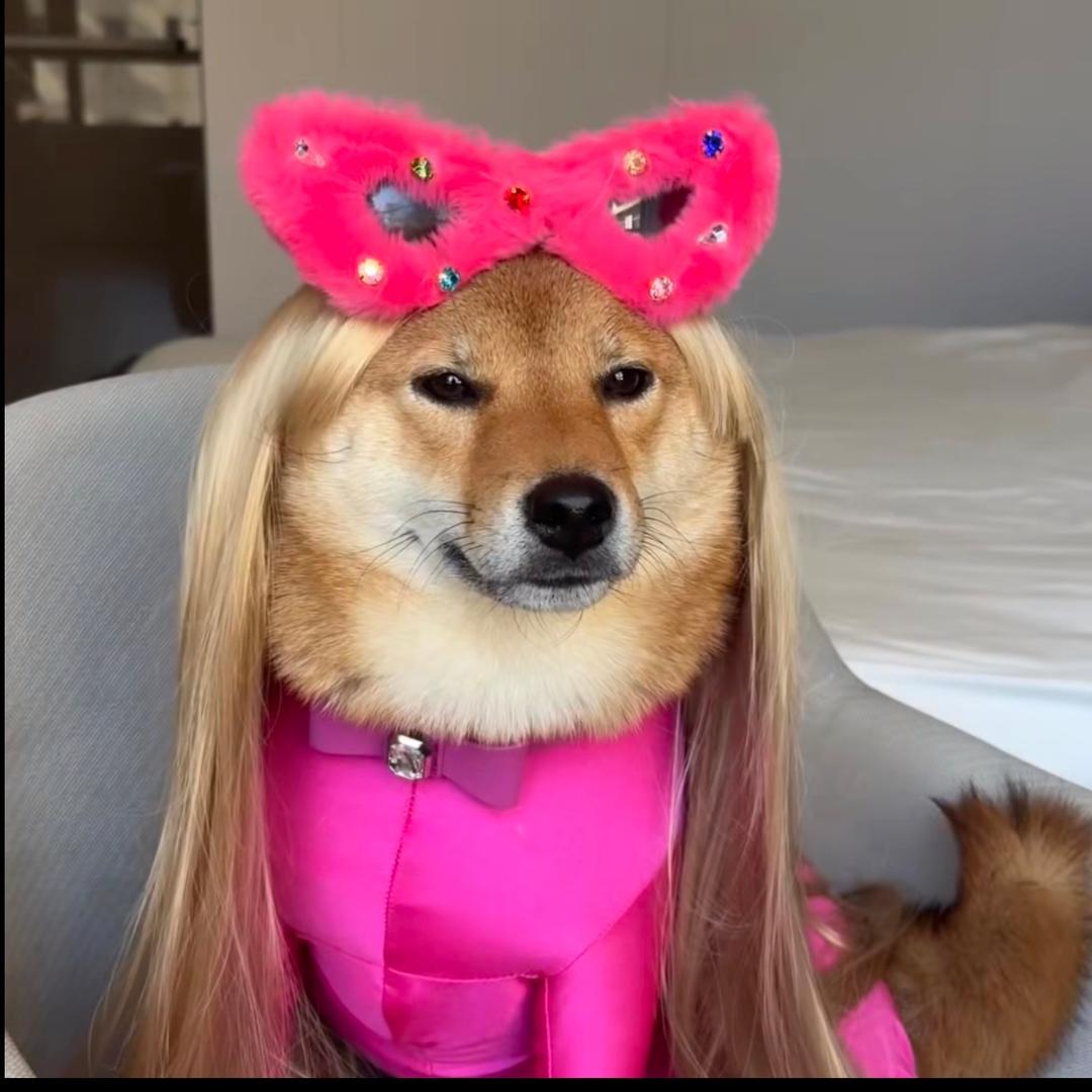 小羊喜欢在玫瑰湖沉思