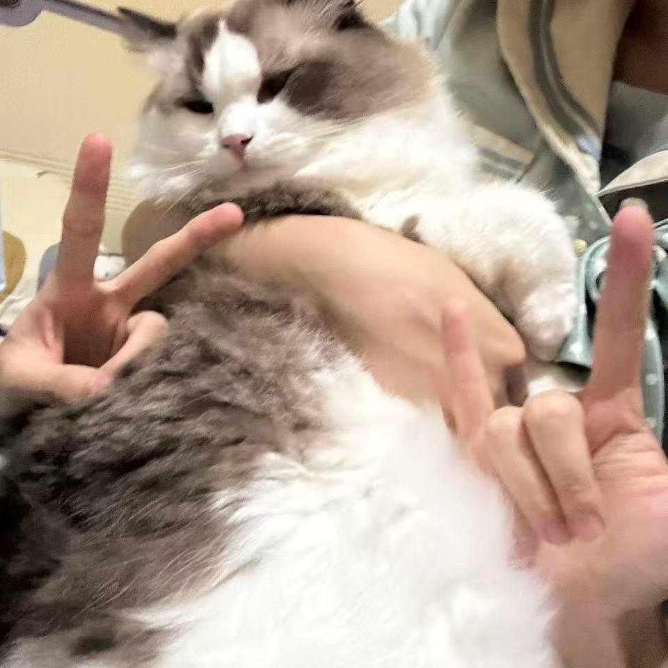南松