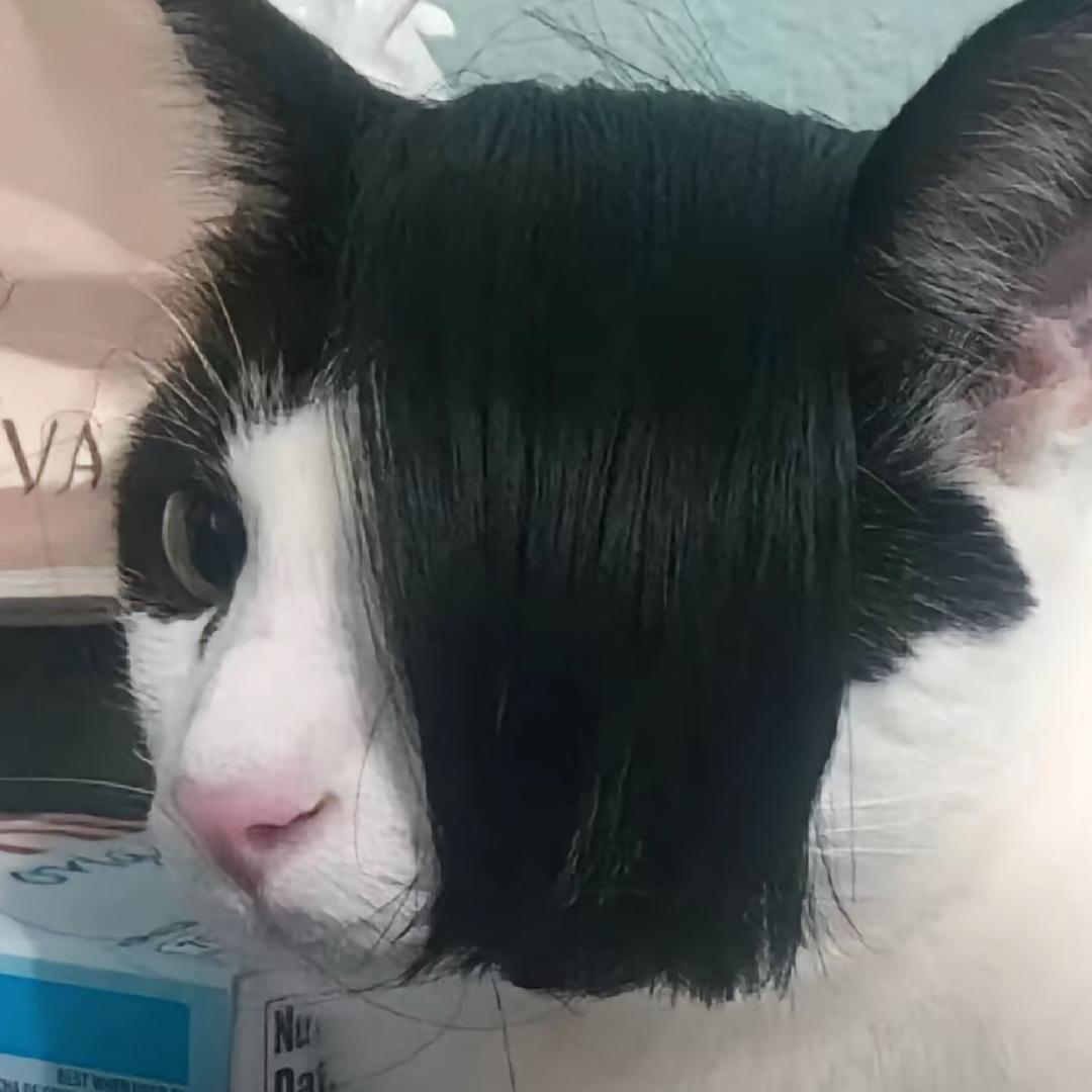 酒生十七