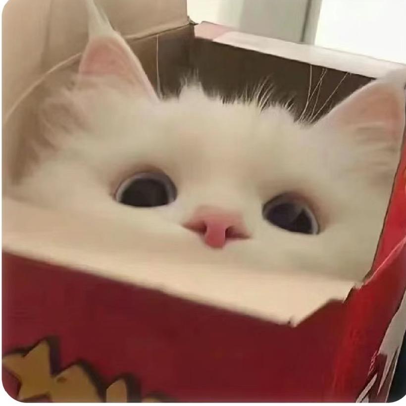 田田圈🍩