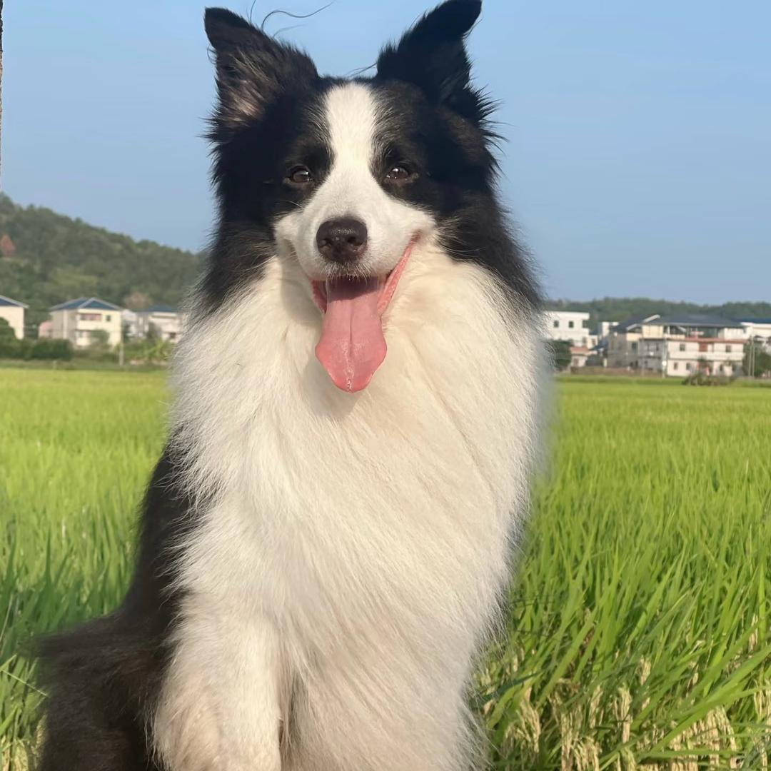 莹莹^_^