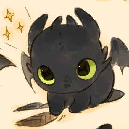 🖤黑心团团长🐈