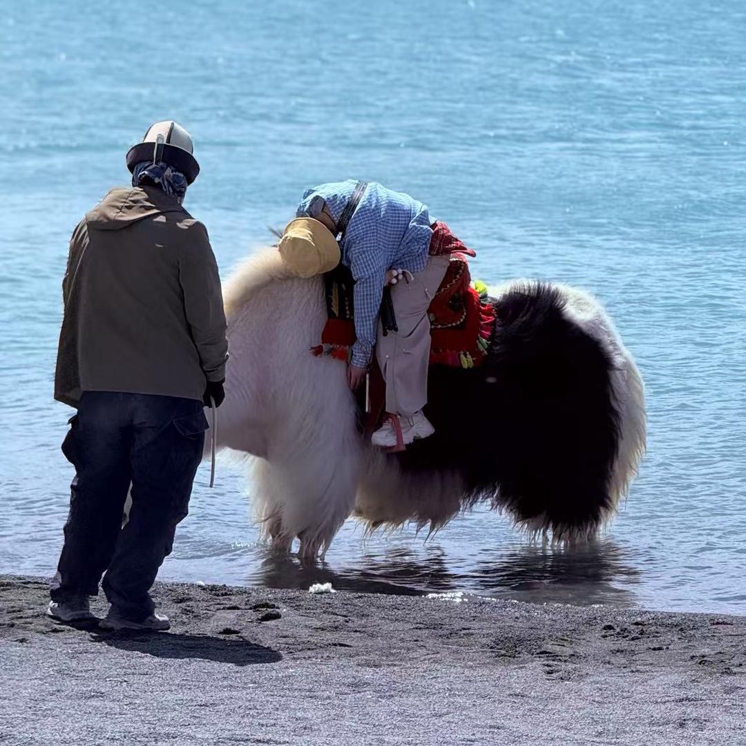 她港角日出时把比赛了我进不去