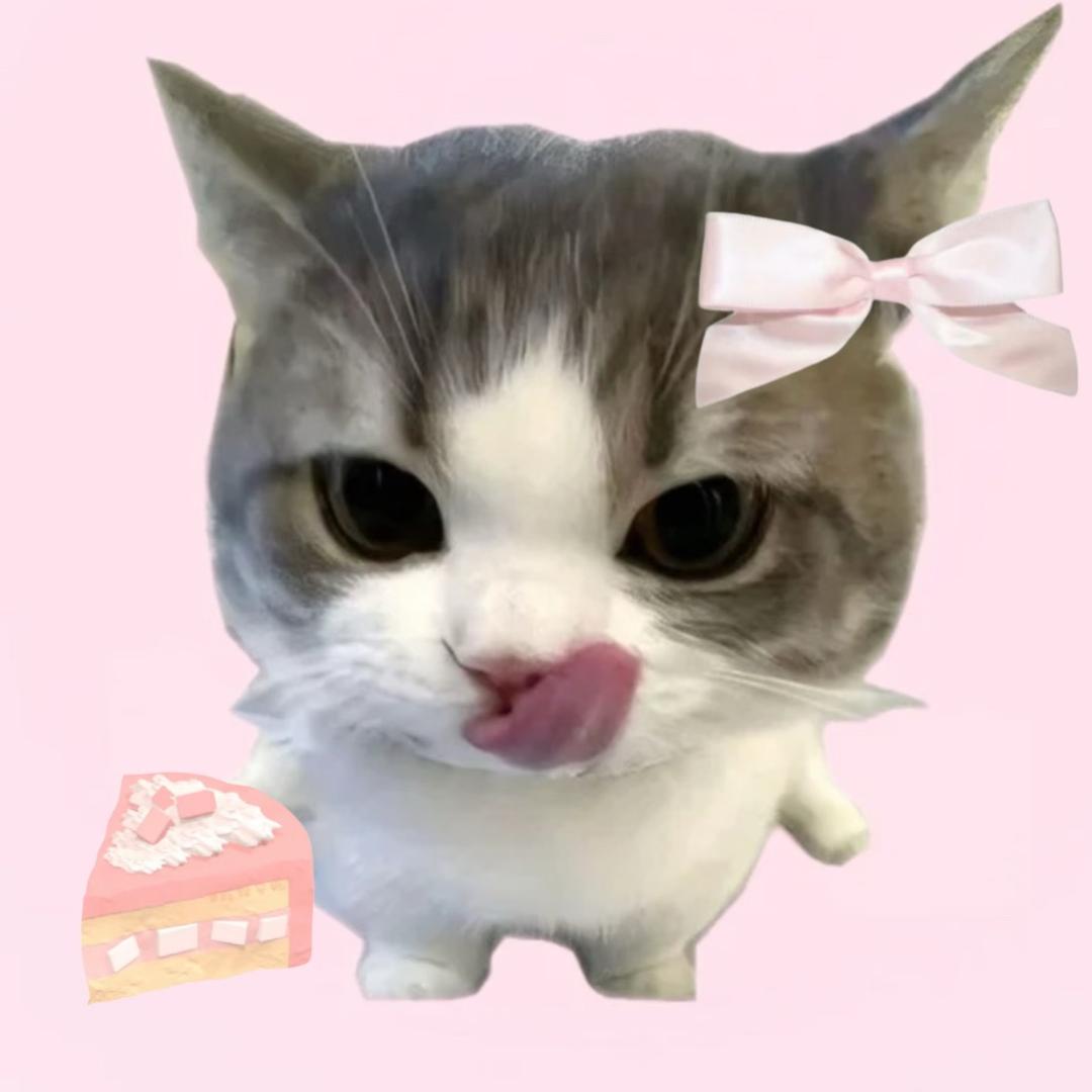 笨蛋美女只占前两字