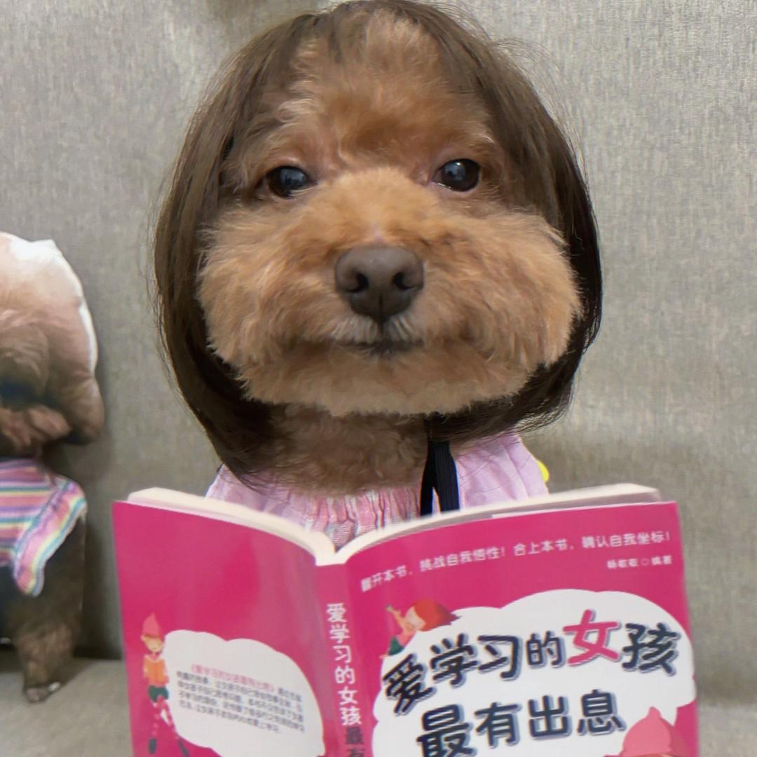 小魏wei