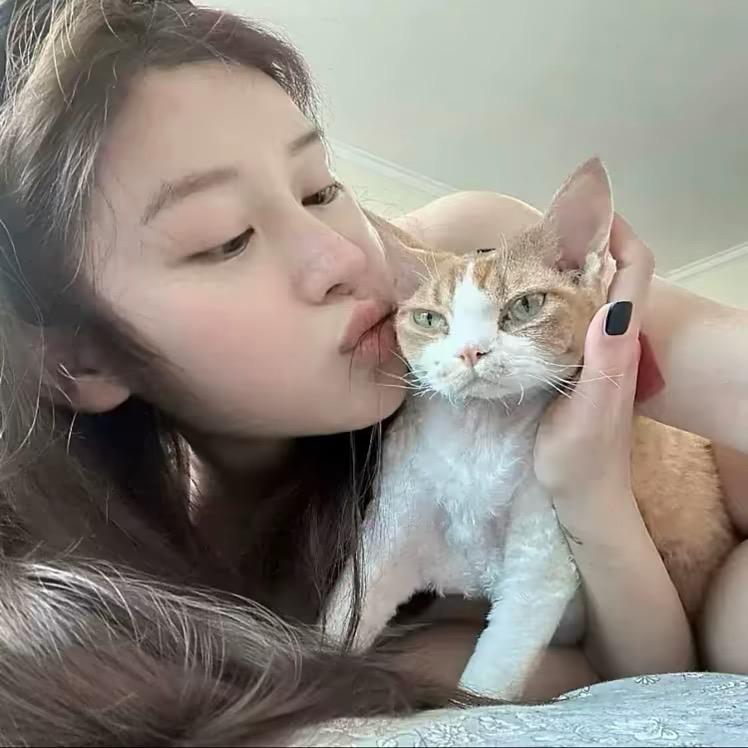 喵了个咪