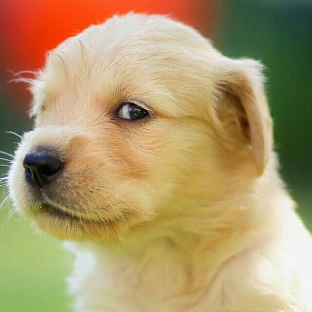 wwwwwwwwwwwwwwwwwwww