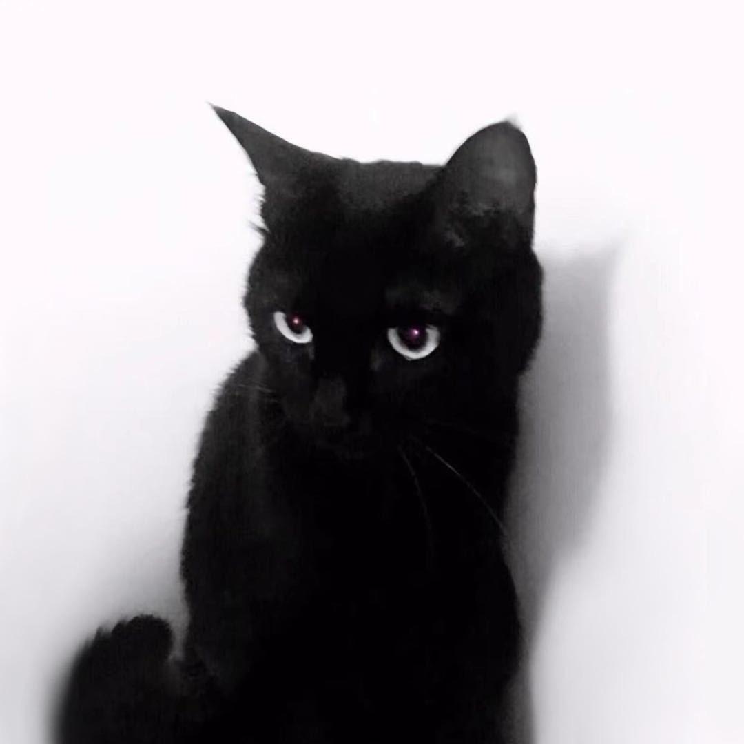暄