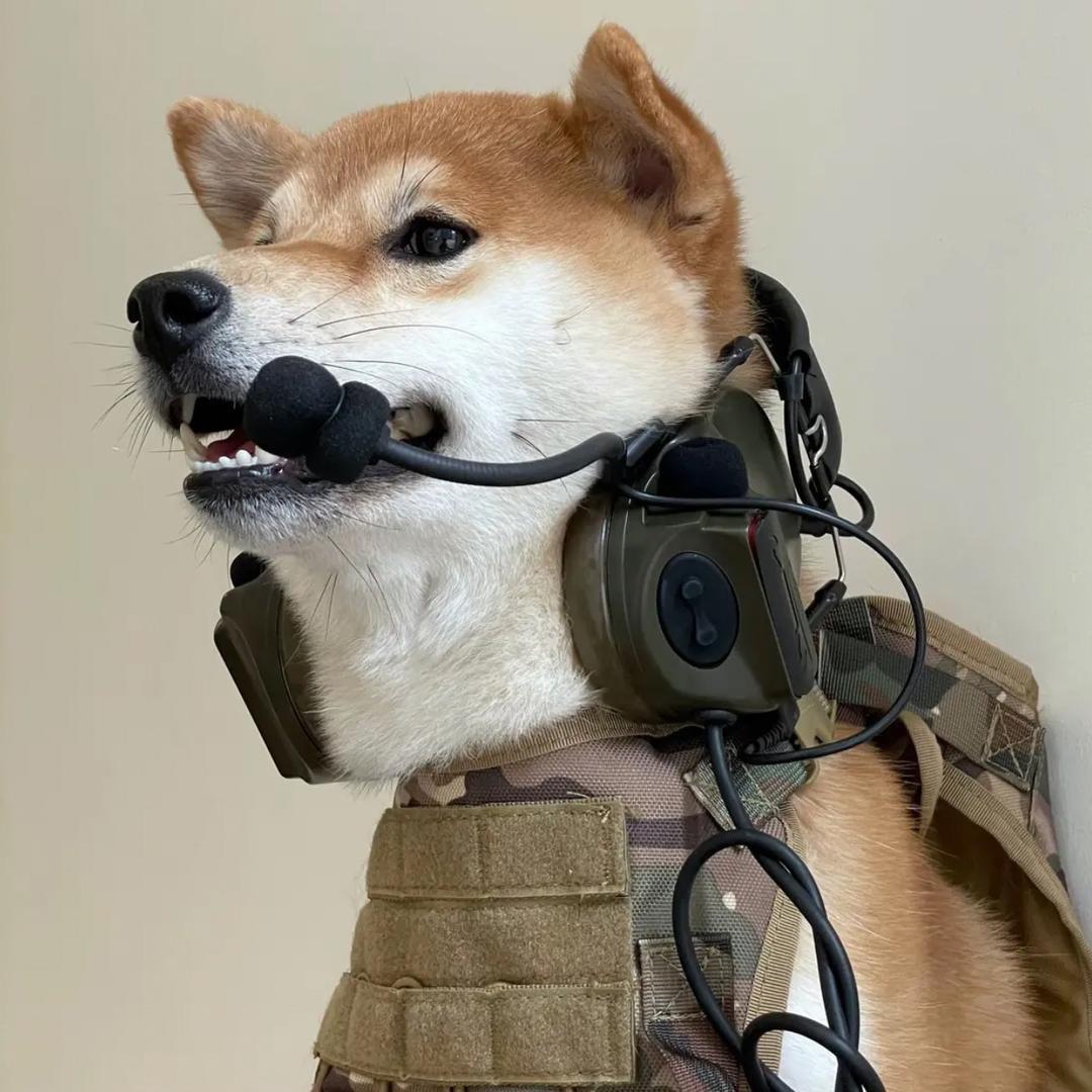 SLPUBG