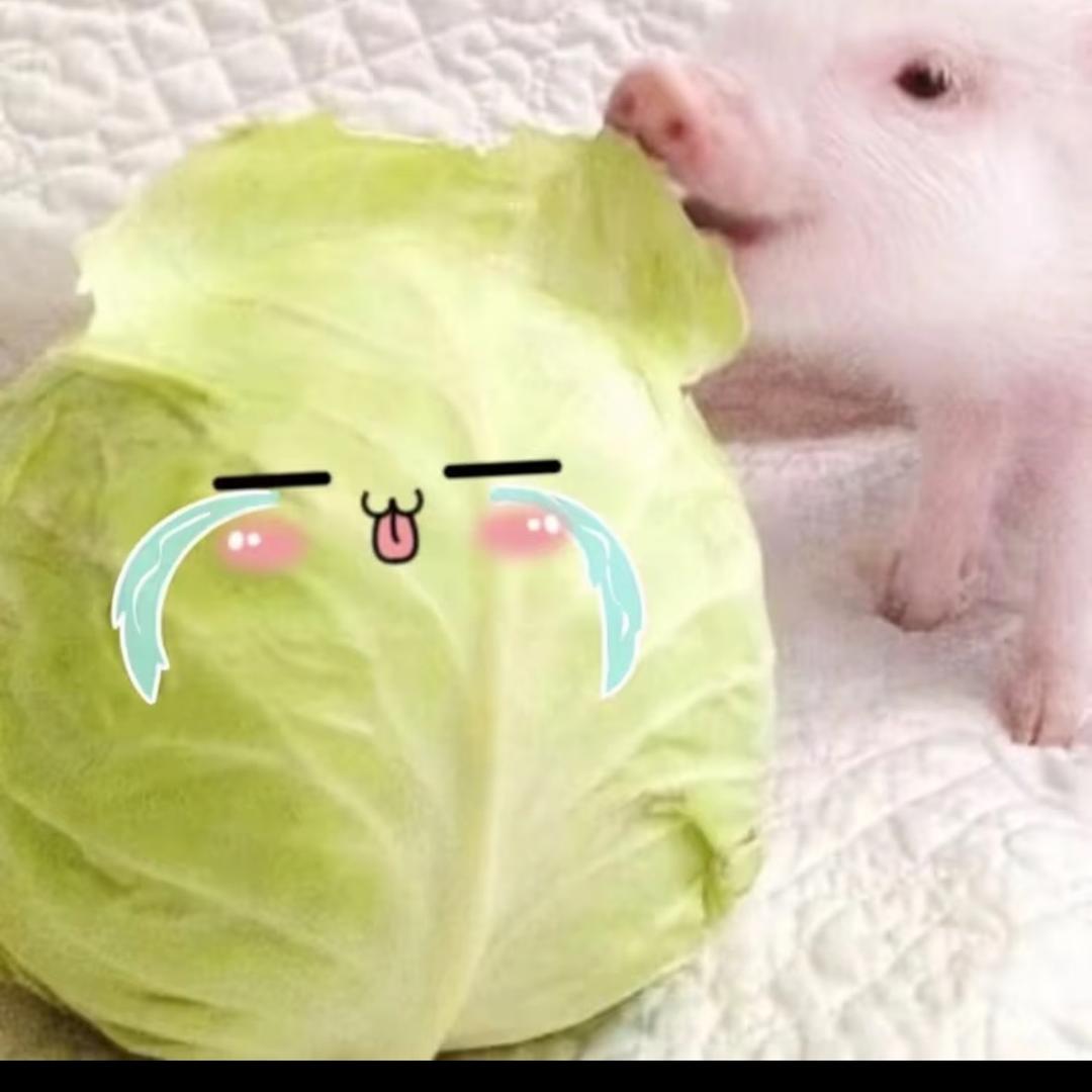 汁嗷赵
