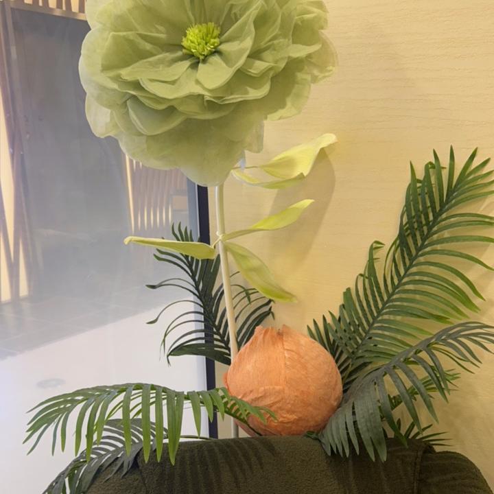 舒心科技