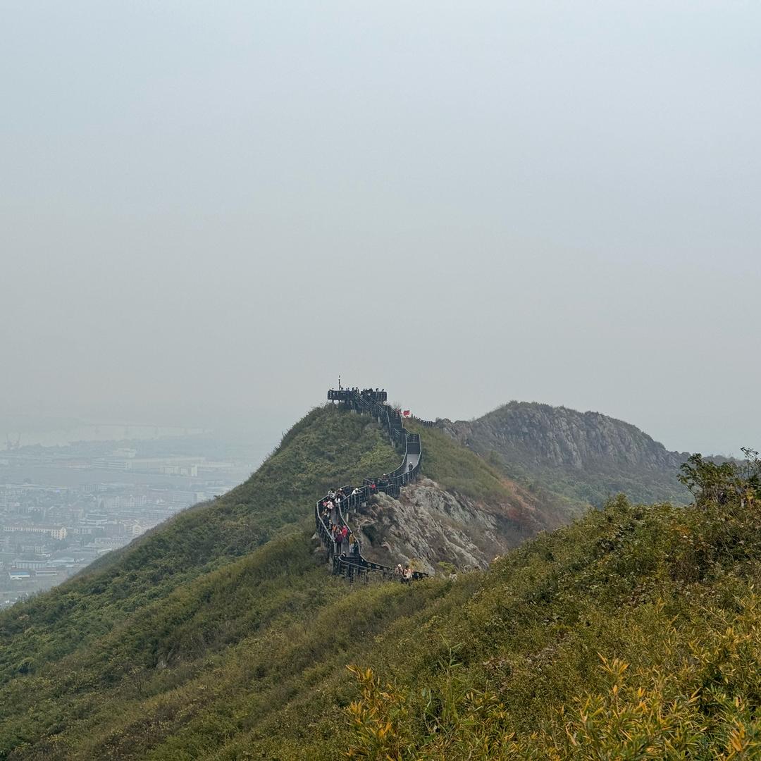龙城小麻雀