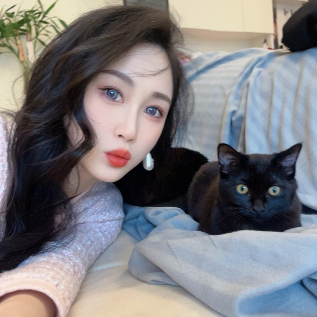小雅的猫猫后宫🐱
