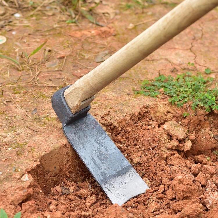 我家有三头猪和两头牛