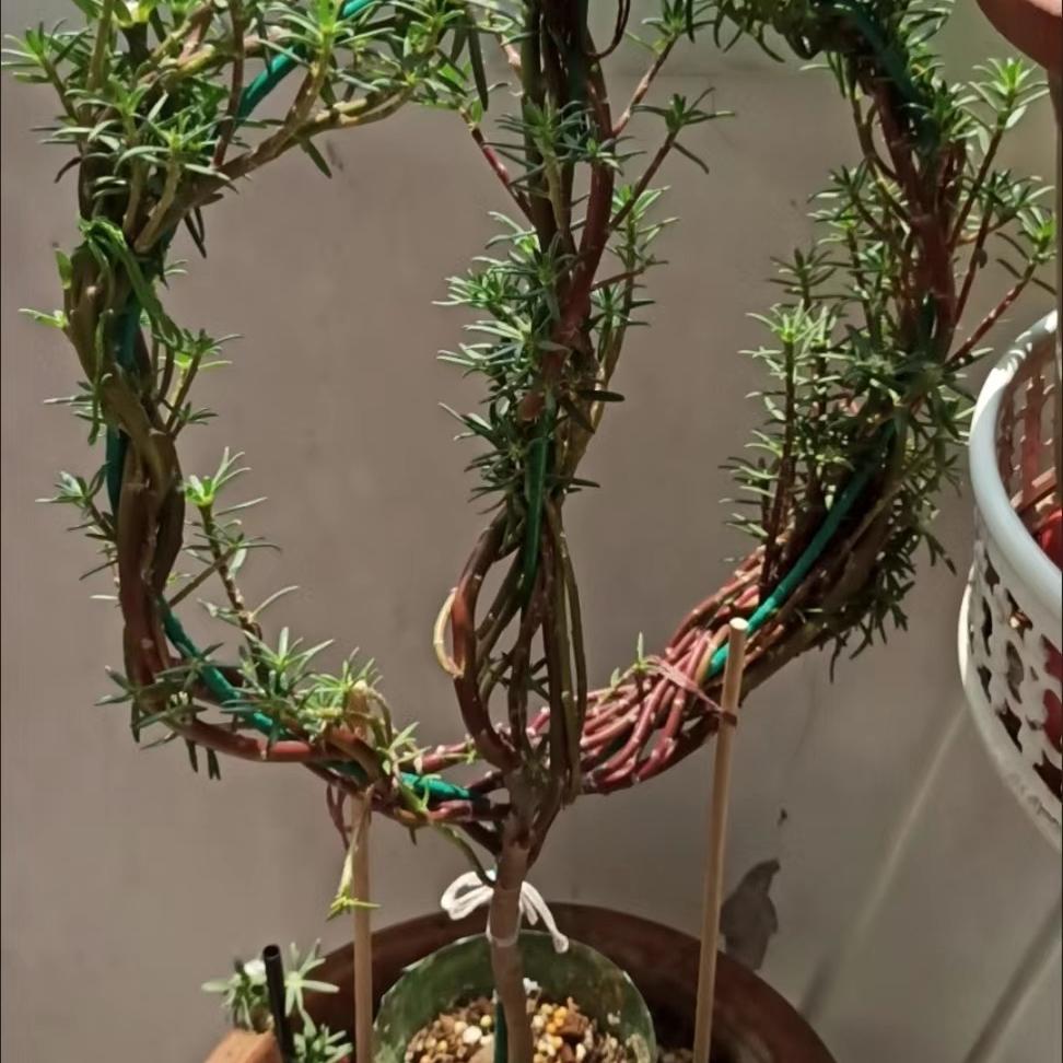 珺诚农业