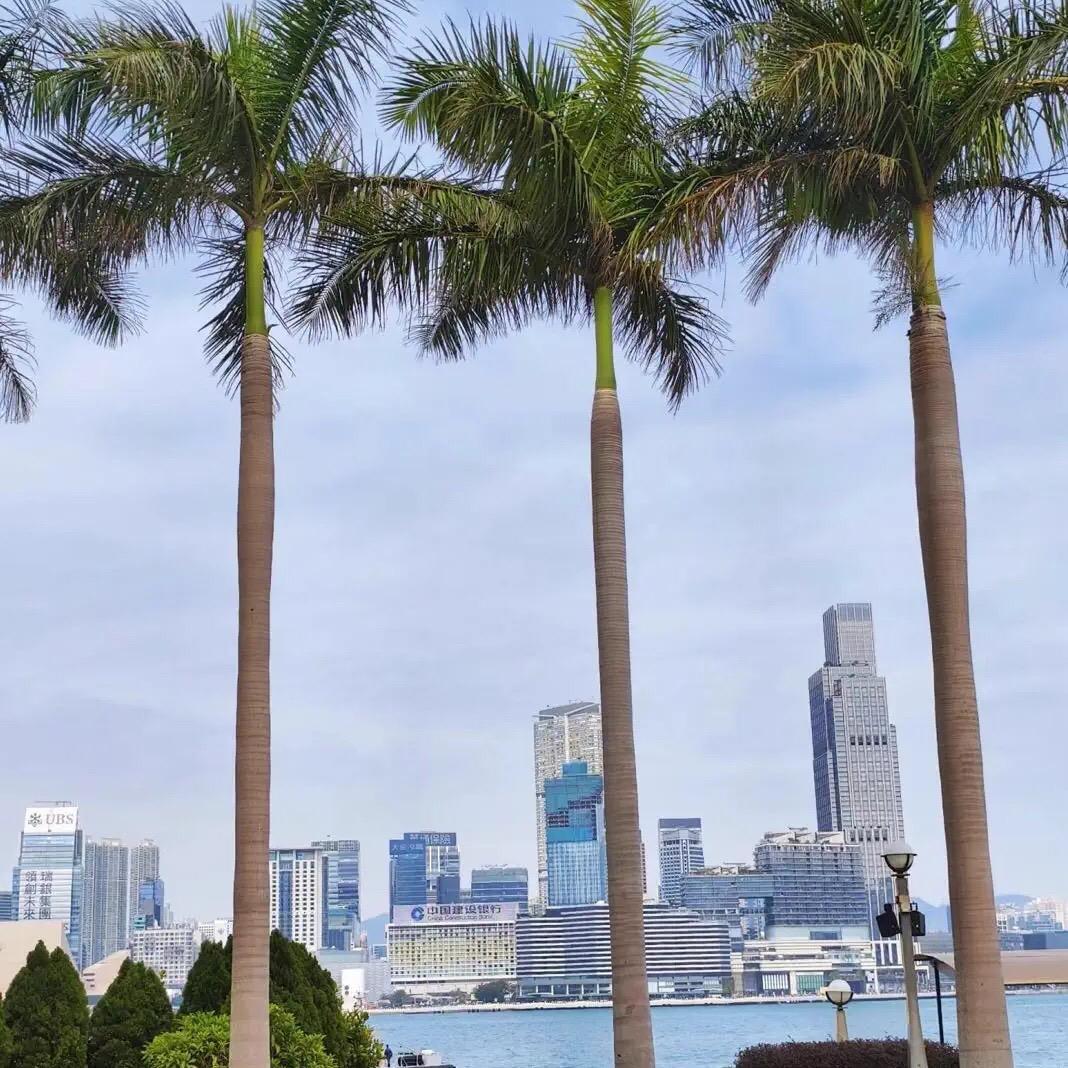 尖沙咀🇭🇰華姐